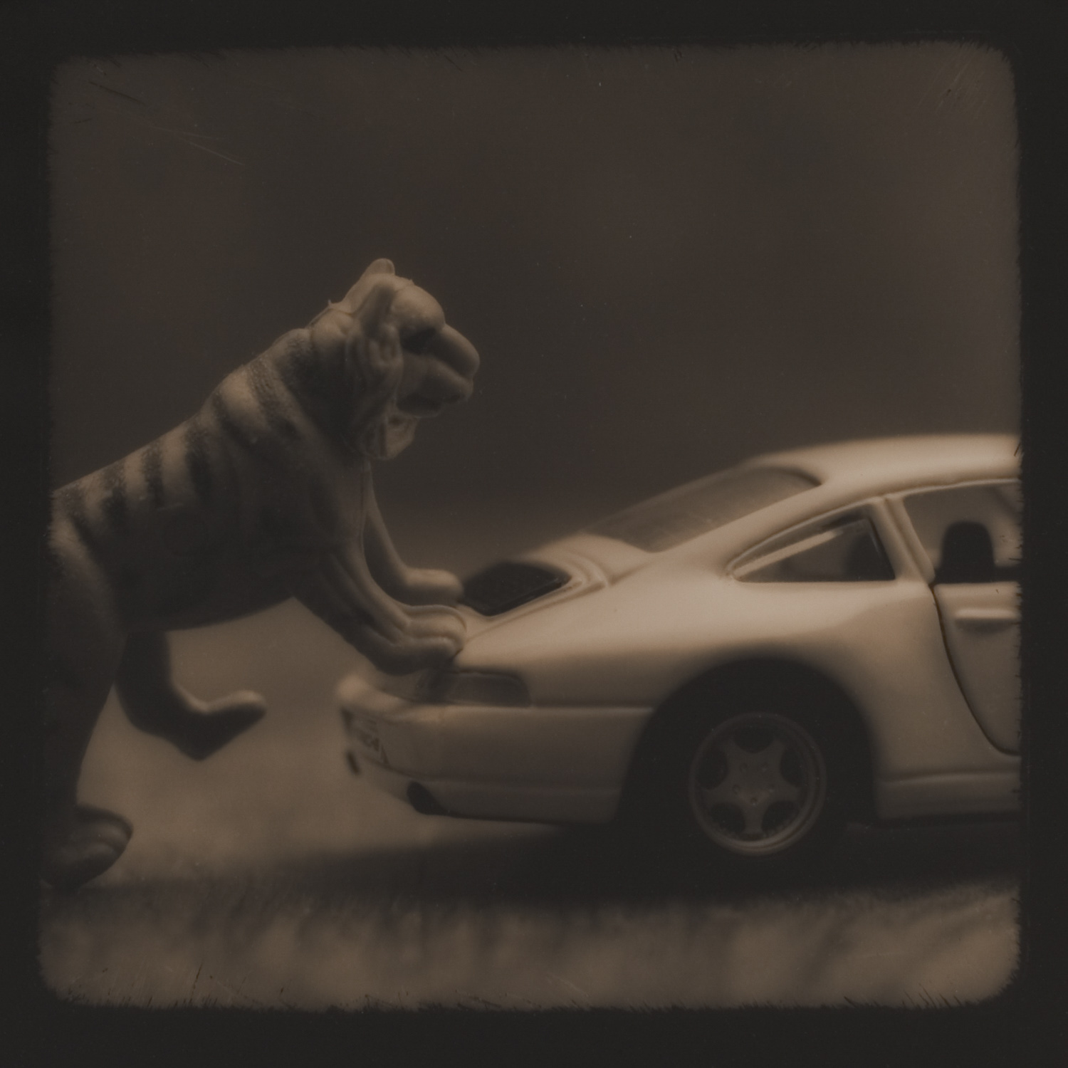 from the series Tales